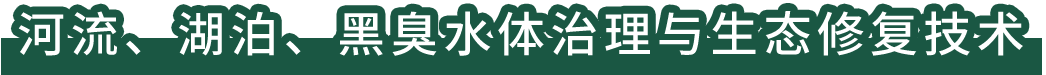 河流、湖泊、黑臭水體治理與生態(tài)修復(fù)技術(shù)