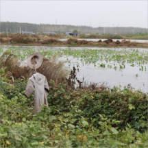 無(wú)害化處理技術(shù)