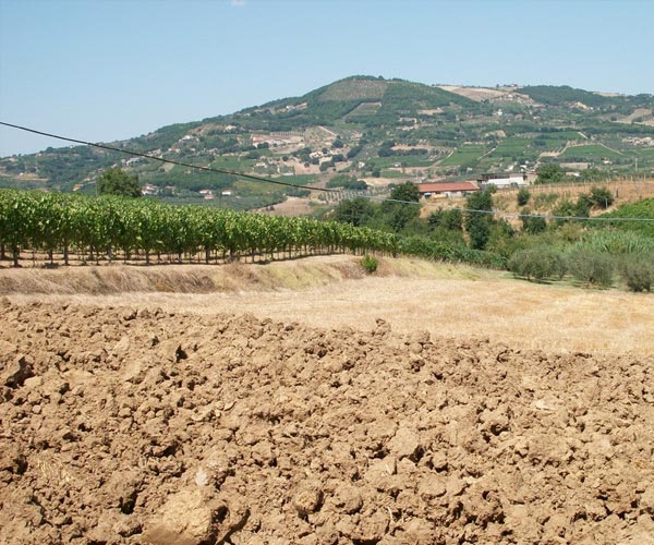 關(guān)于《土壤環(huán)境質(zhì)量標(biāo)準(zhǔn)》修訂思路及有關(guān)情況的說明