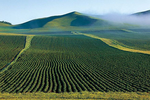 研讀土壤修復(fù)行業(yè)發(fā)展報告（咨詢篇）、（工程篇）