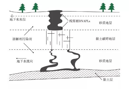 1617341995485572.jpg DN3.jpg